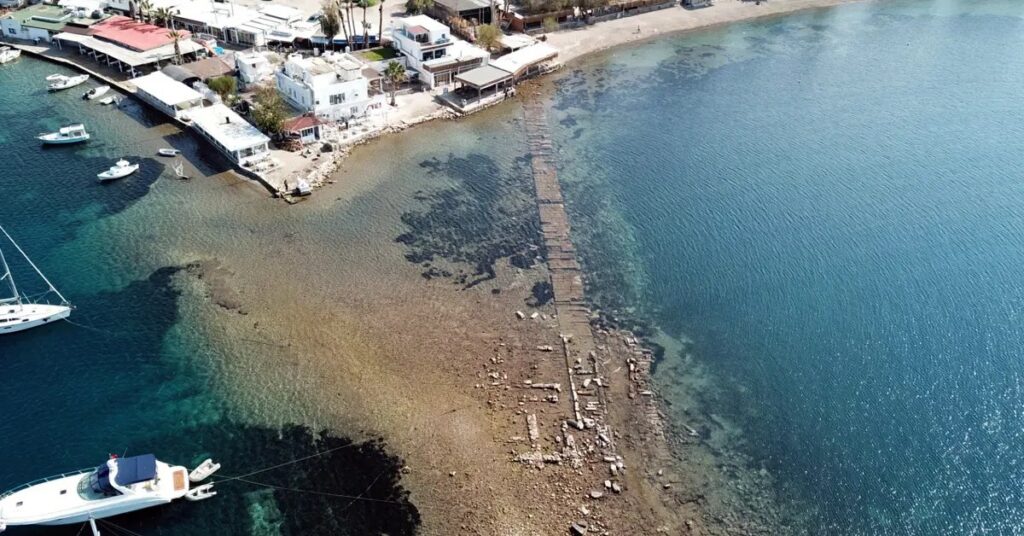 IMG_20260306_185537_428