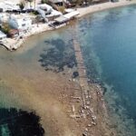 IMG_20260306_185537_428