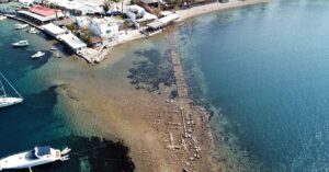 IMG_20260306_185537_428