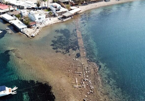 IMG_20260306_185537_428