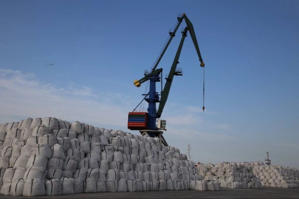 IMG_20260325_123814_614