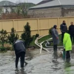 iJ8ykqCM23iyOsgAhiCQSHUFG7UI3pPUTLlYEVQs_1200