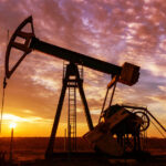 6481b71902e8bd7cfb3b3dcd