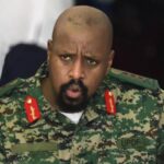 IMG_20260412_184538_623