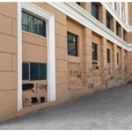 ol5AFXpZlzlUUuTmQmeX7vJRwL92BunVuA578E1l_1200