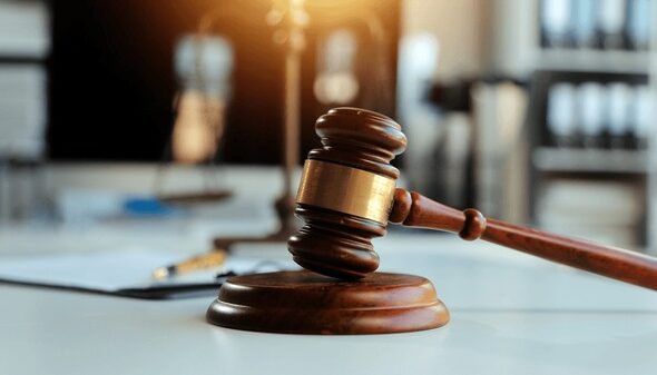 law-theme-gavel-mallet-judge-600nw-2482775329