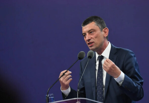 Георгий Гахария заявил о попытках «Грузинской мечты» полностью зачистить парламент
